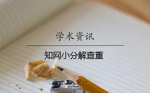 知網小分解查重