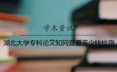 湖北大學?？普撐闹W查重多少錢檢測一次